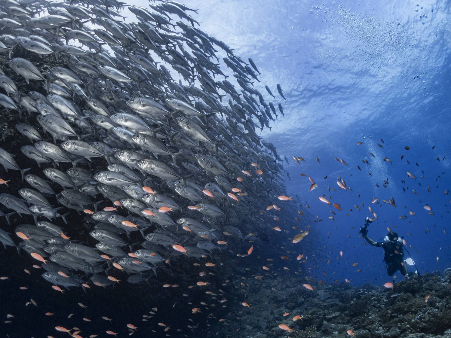 Фотография #7199476