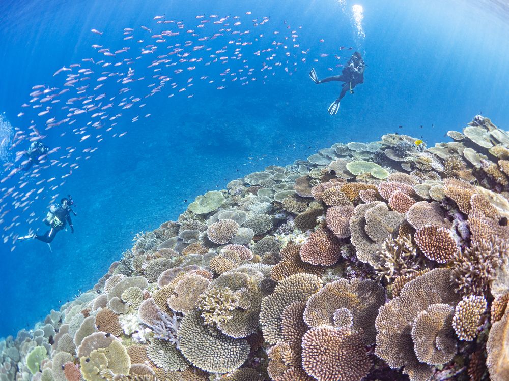 Photograph by Miura Erika