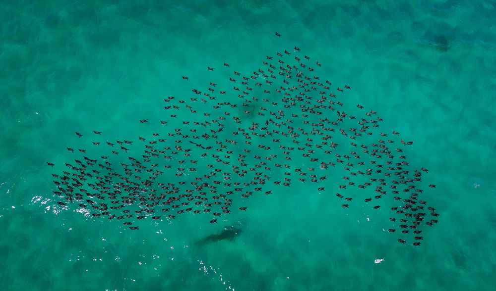 Photograph by Khalid Al-Wadhaihi