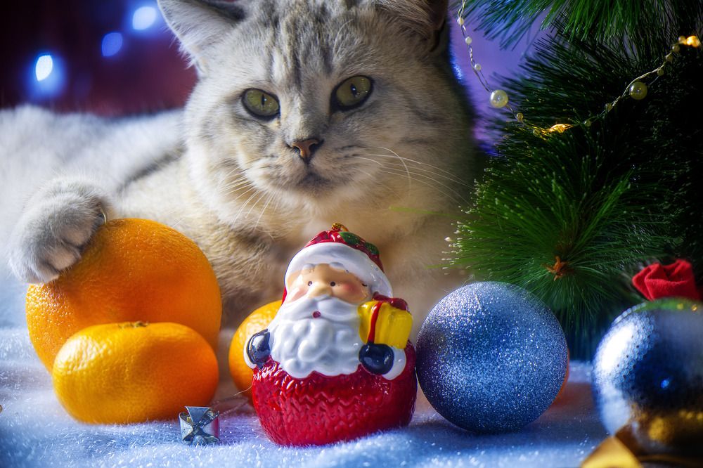 Photograph by Margarita