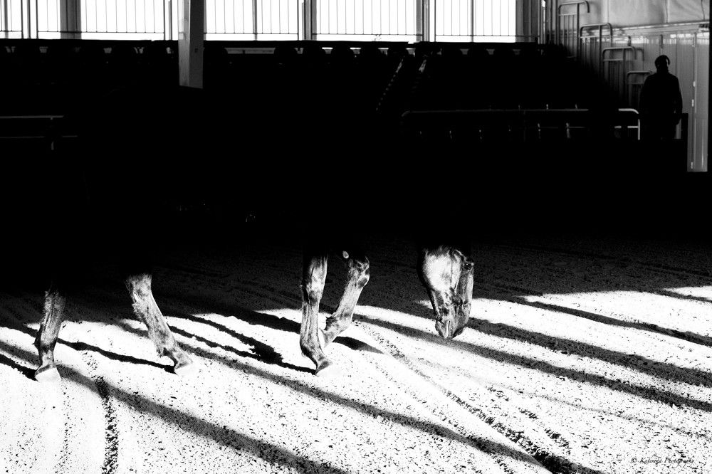 Photograph by Katerina Pustoshnaia