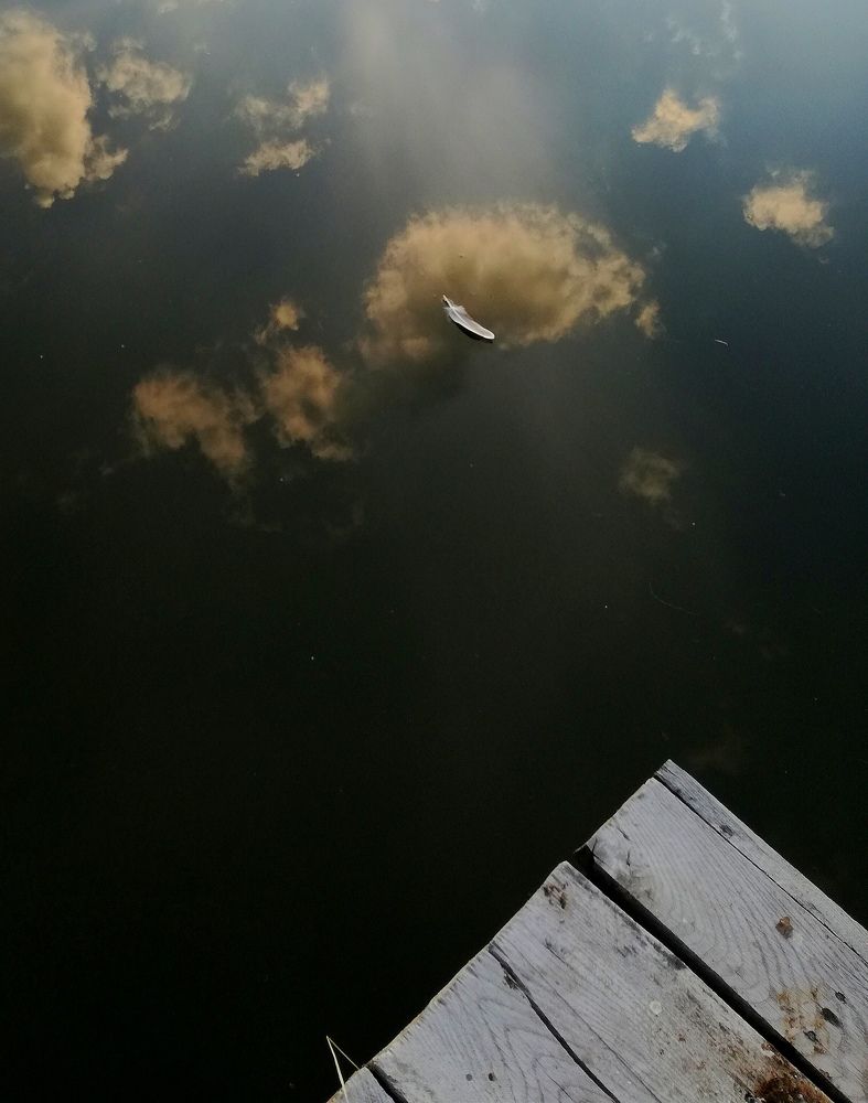 Photograph by Krystyna