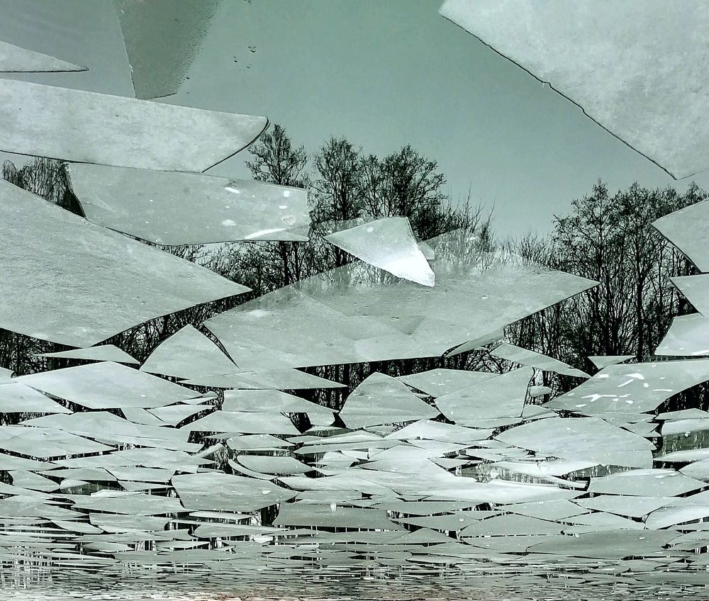 Photograph by Krystyna