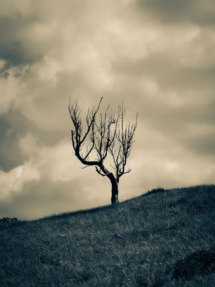 Photograph by Алексей Тарасов