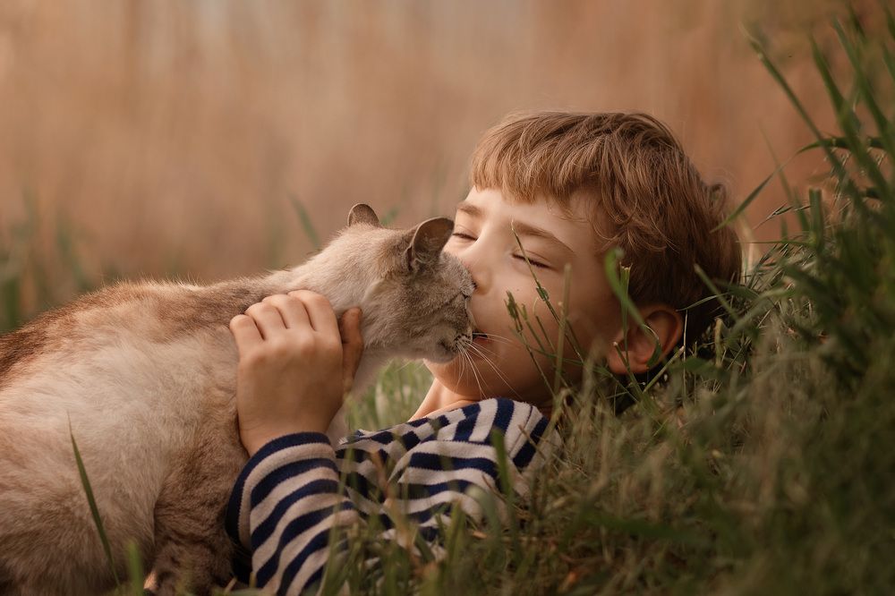 Photograph by Майя Морозова