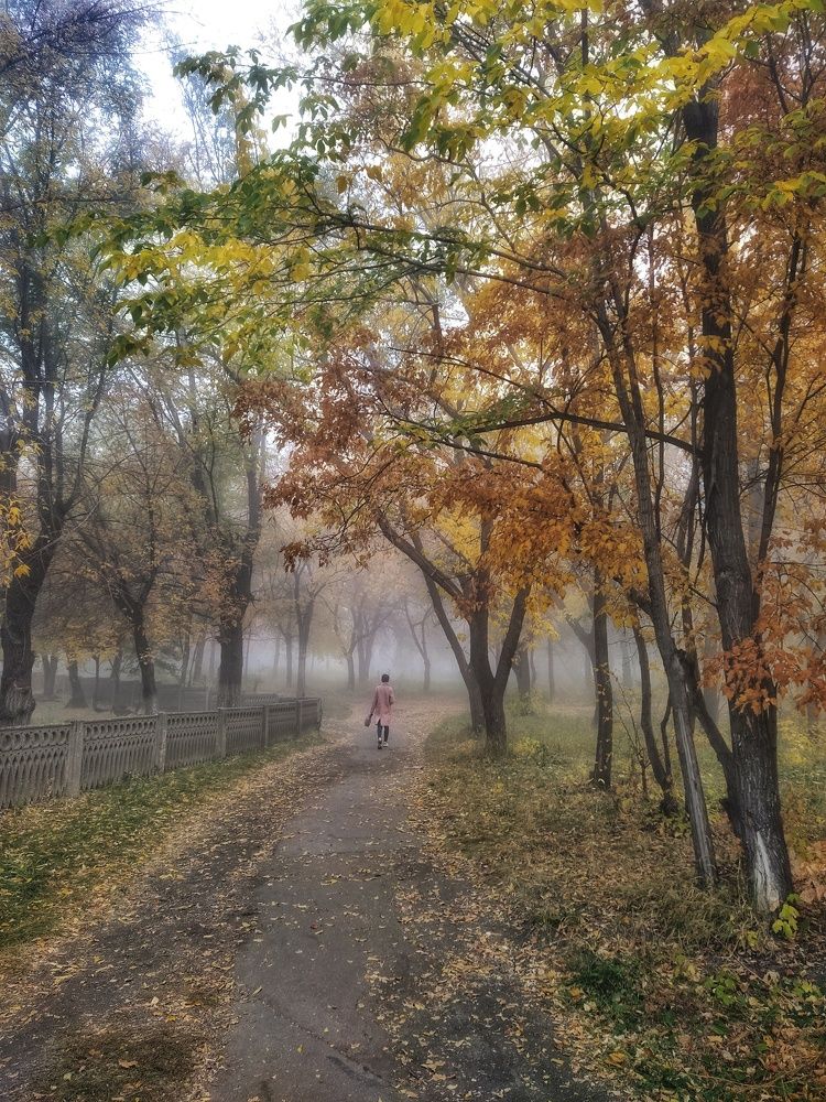 Photograph by Александр Гром