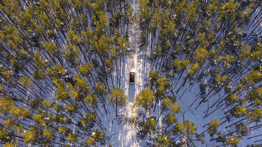 Фотография автора Дмитрий Храмцов