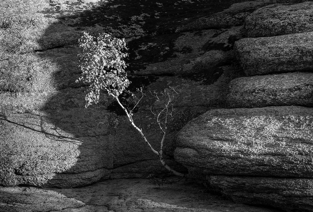 Фотография автора Игорь Русанов