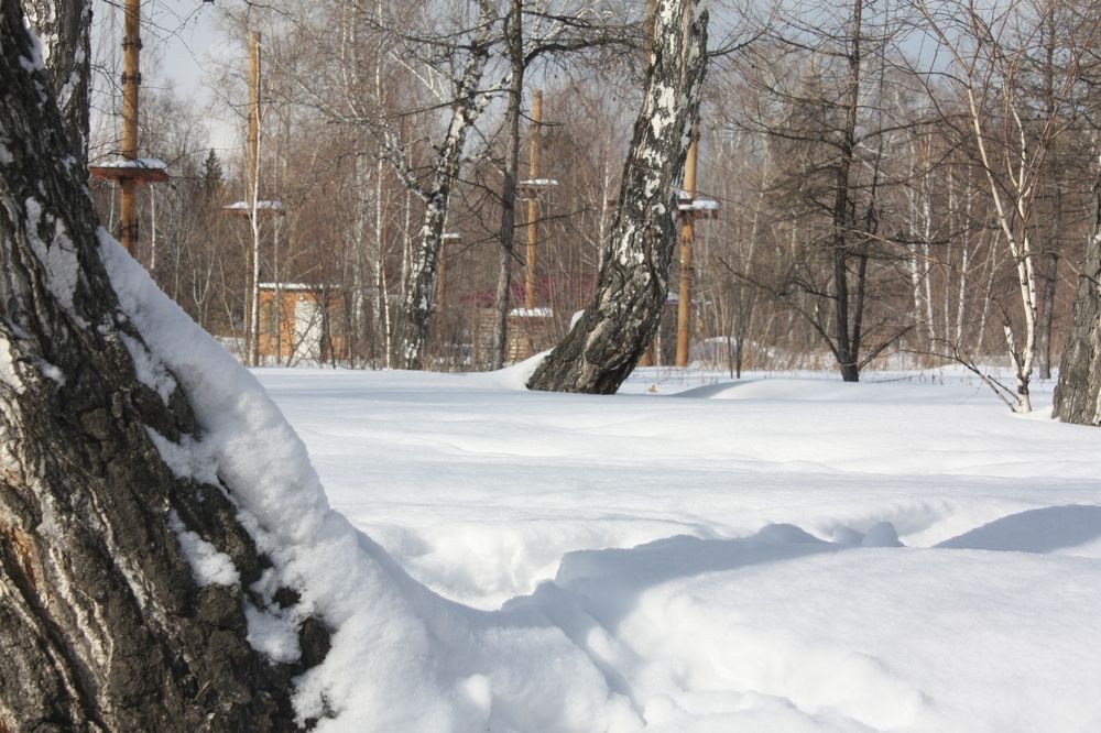Photograph by Алла