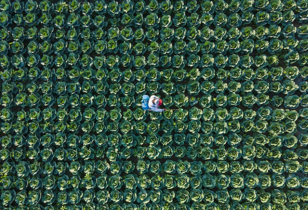 Photograph by Litan Das