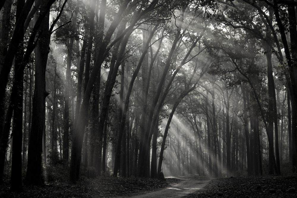 Photograph by Preet saluja