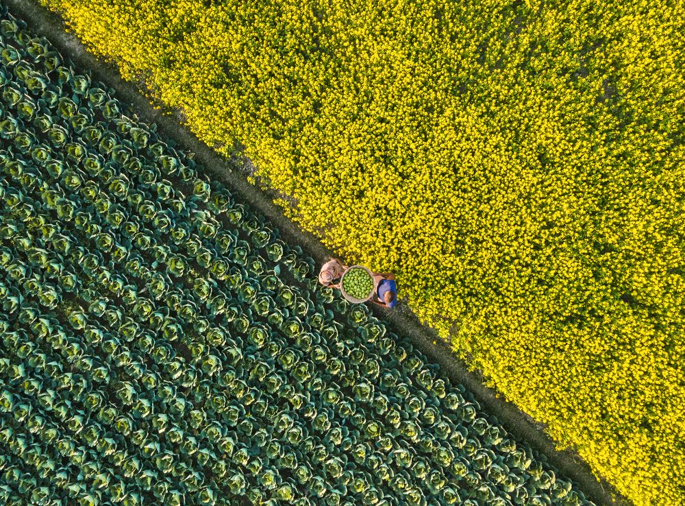 Photograph by Litan Das