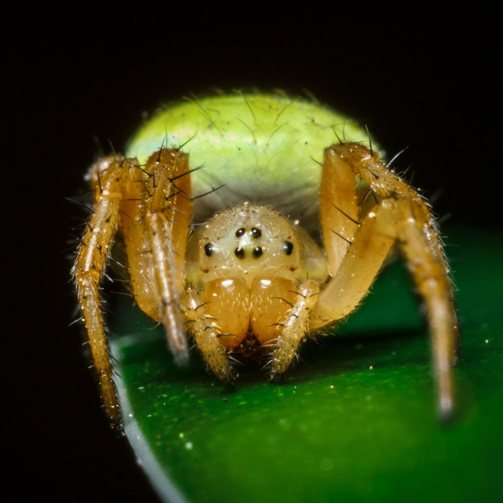 Photograph by Илья Мячин