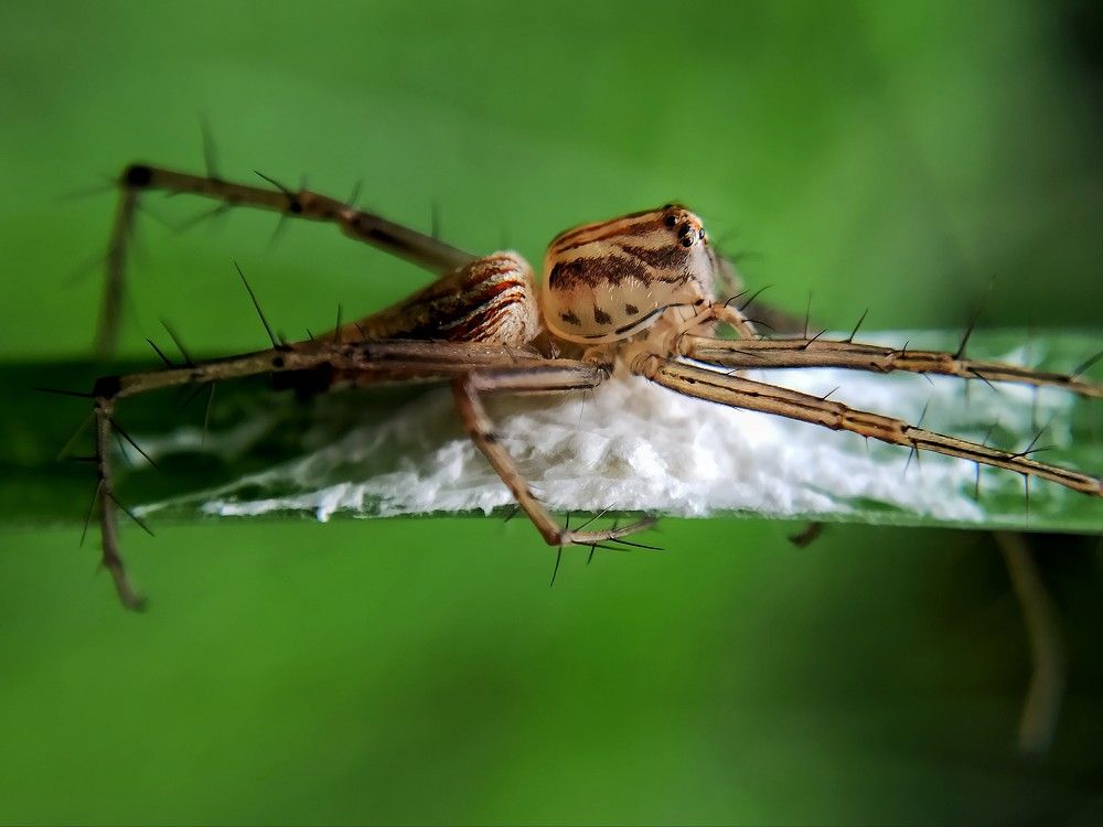 Photograph by Tariq amin Mansuri