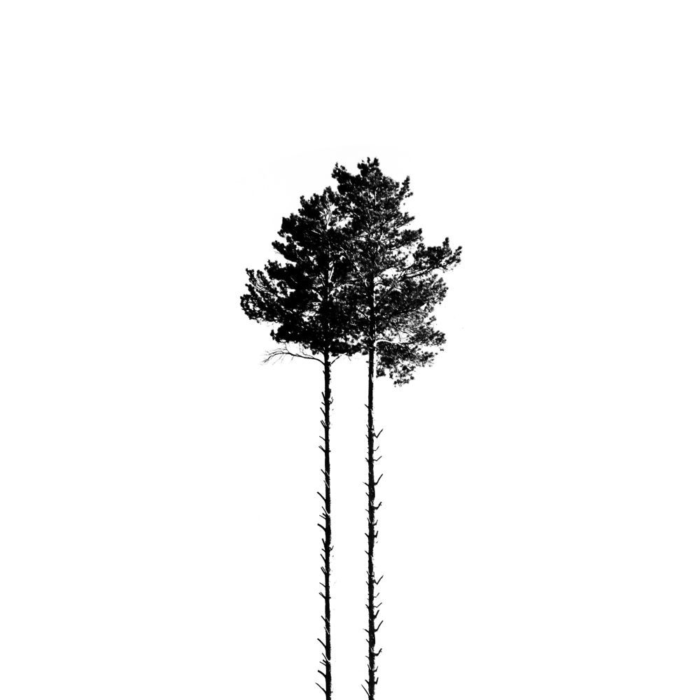 Photograph by Илья Мячин