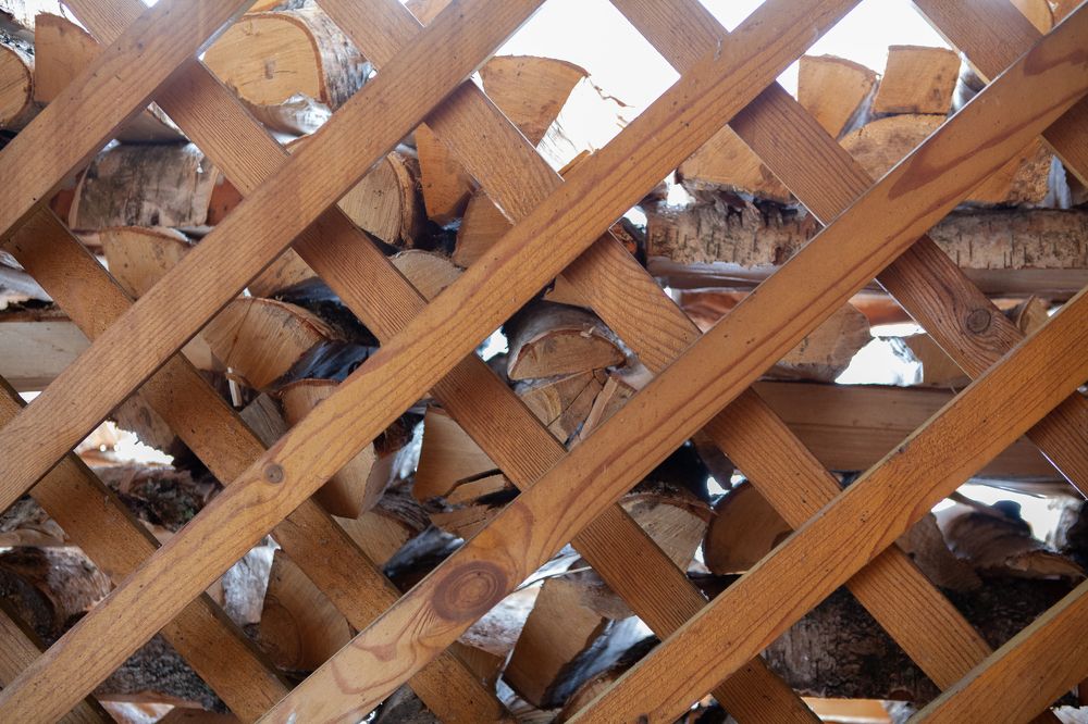 Фотография автора Ольга Малкова