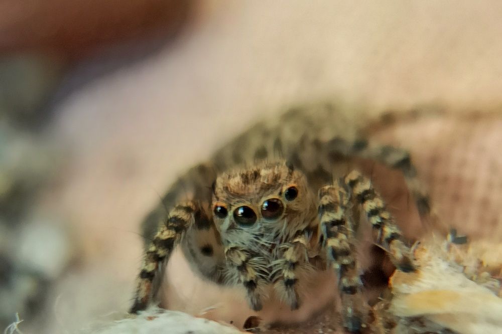 Photograph by Tariq amin Mansuri