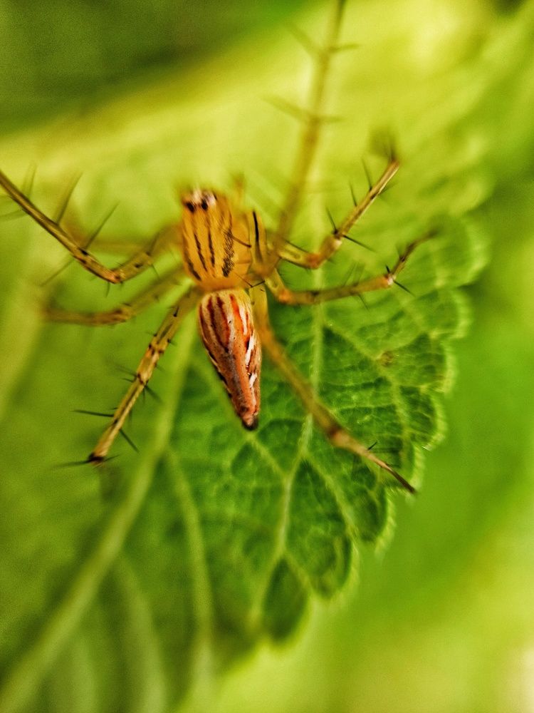 Photograph by Tariq amin Mansuri