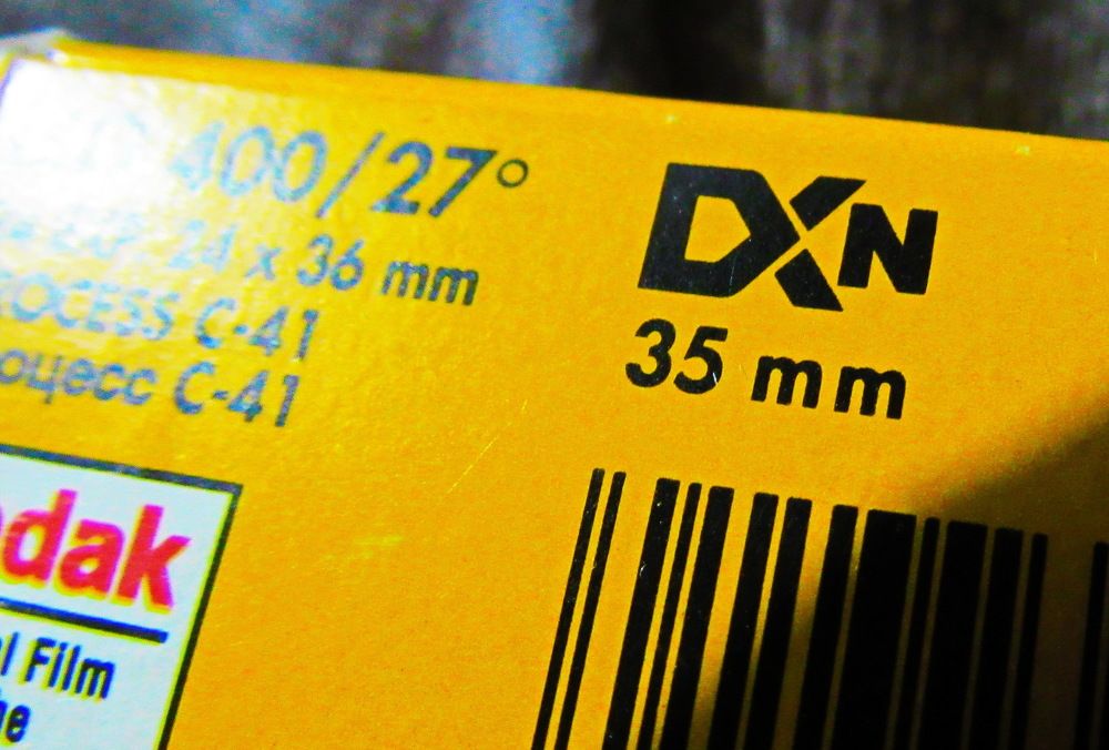 Находка на даче в Старых Кодаках