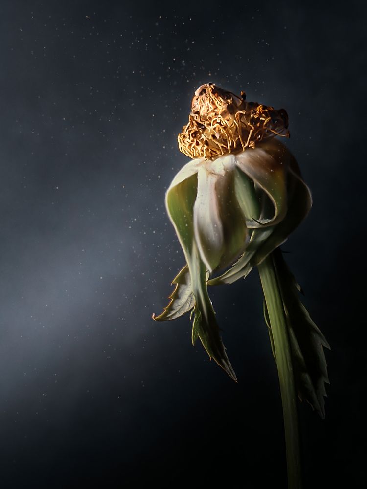 Photograph by Алена Круглик