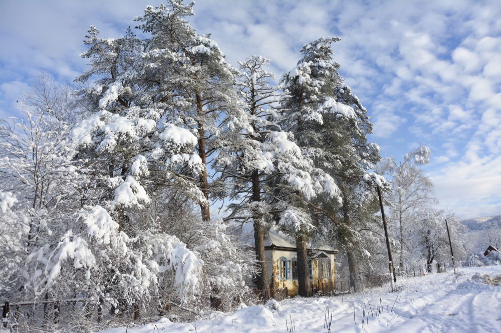 Photograph by Krip Pichano