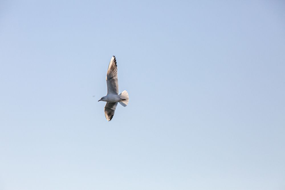 Photograph by Mohammadreza Majlesifar