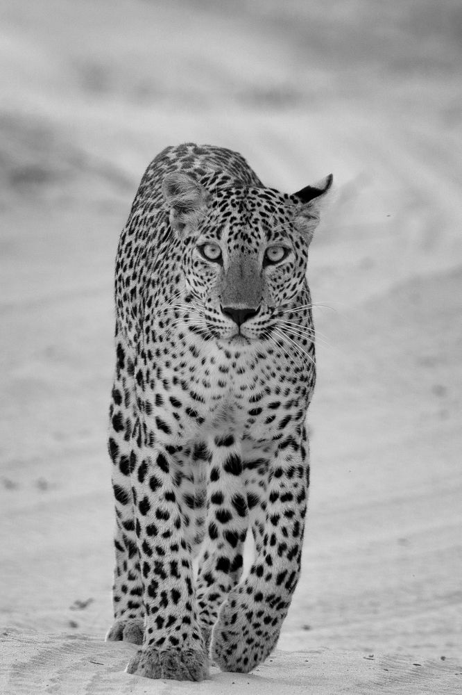 Photograph by Dhanushka Bandara