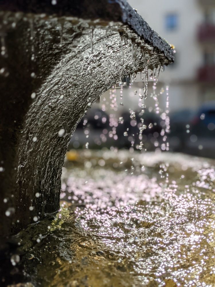 Photograph by Nika Rodionova