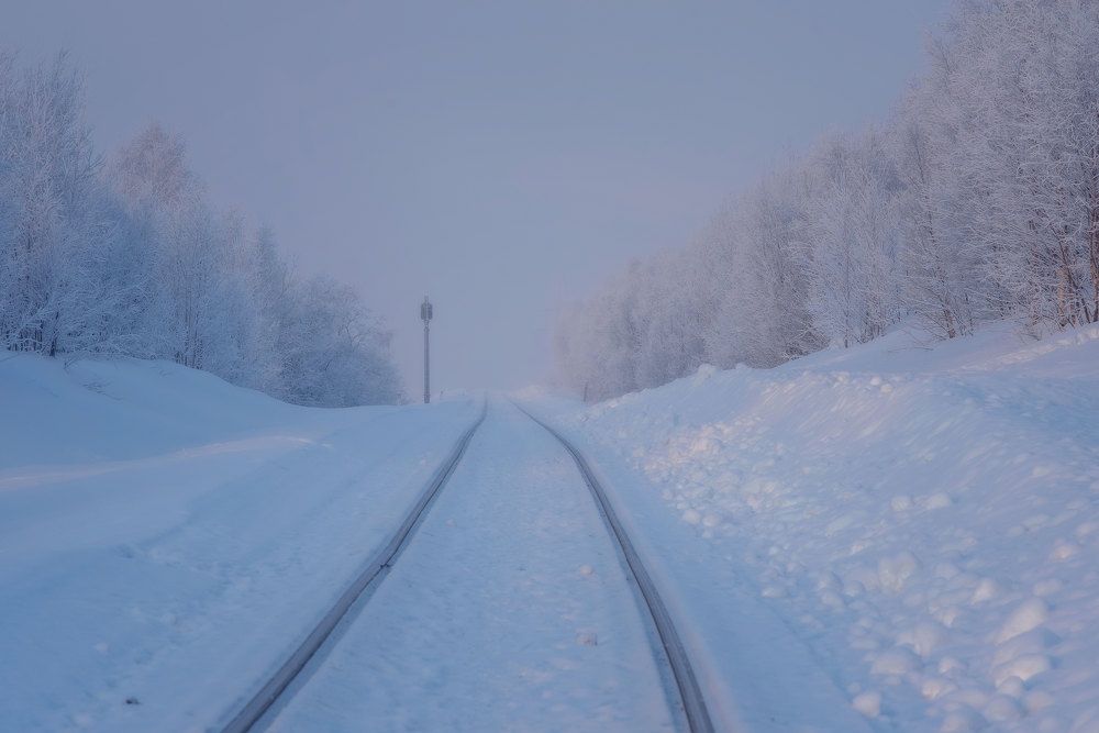 Photograph by Марина Зборацкая