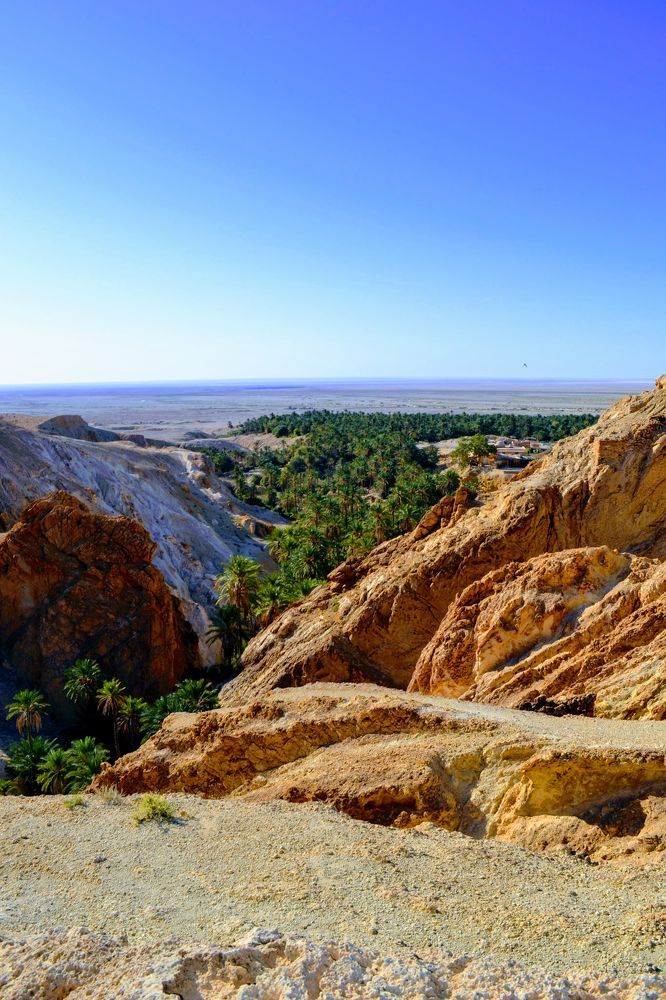 Photograph by Sakhria Mbarki