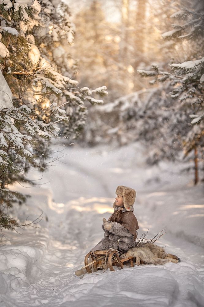 В лес за хворостом