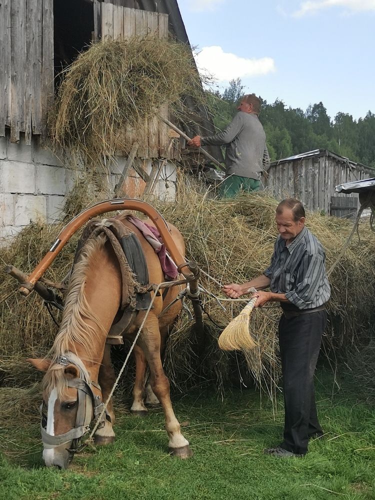 Photograph by Мария Бартош