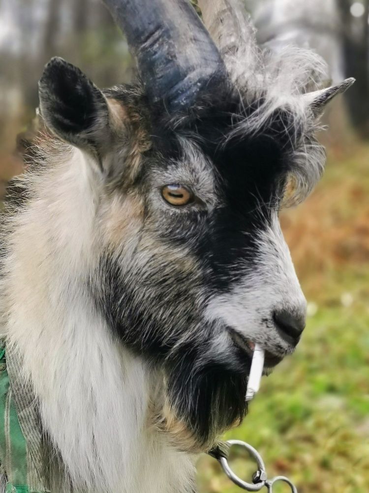 Photograph by Мария Бартош