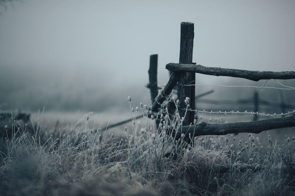 Photograph by Виталий