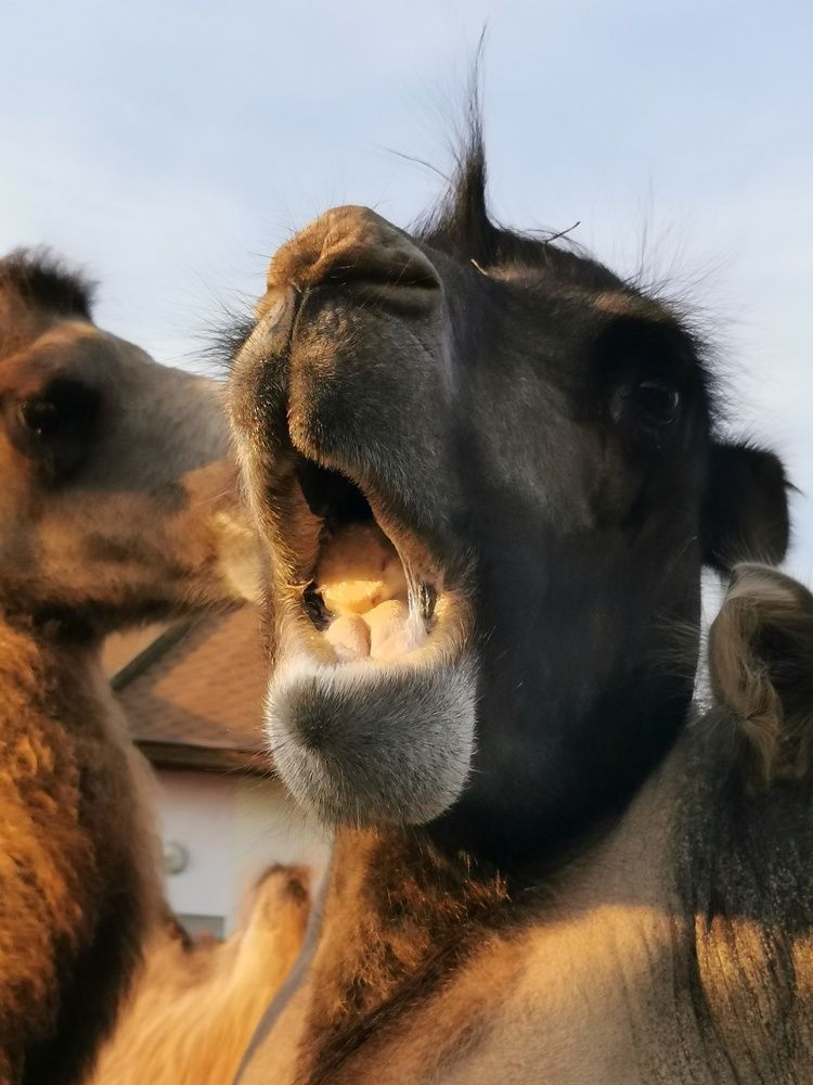 Photograph by Мария Бартош