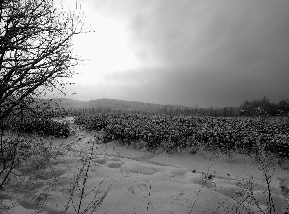 Photo #7200263