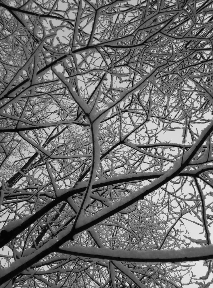 Photo #7200265