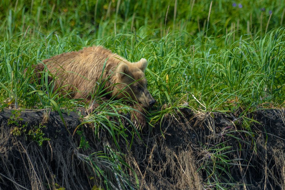 Photograph by Алексей Ознобихин