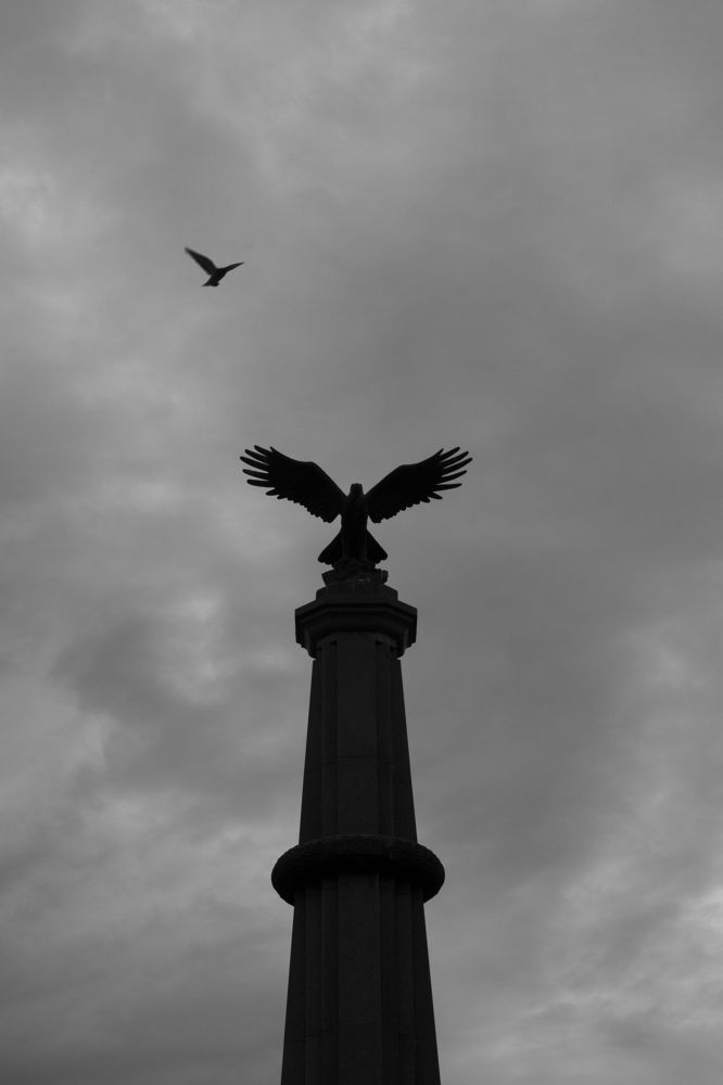 Фотография автора Георгий Петров