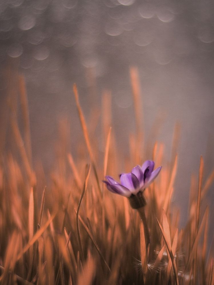 Photograph by Abolfazl Shahmiry