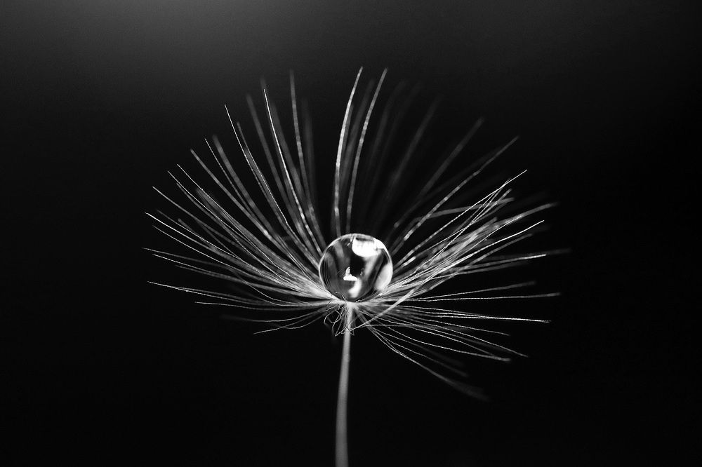 Фотография автора Viaceslavas Bazykas