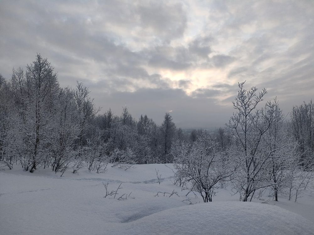 Photograph by Марина Зборацкая