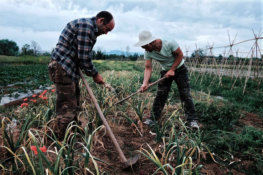 Photograph by Paolo Ricca