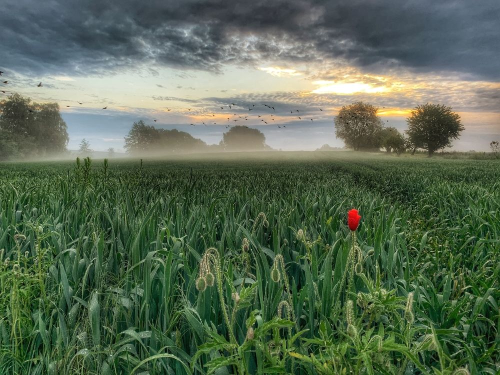 Photograph by Swetlana Lebedev