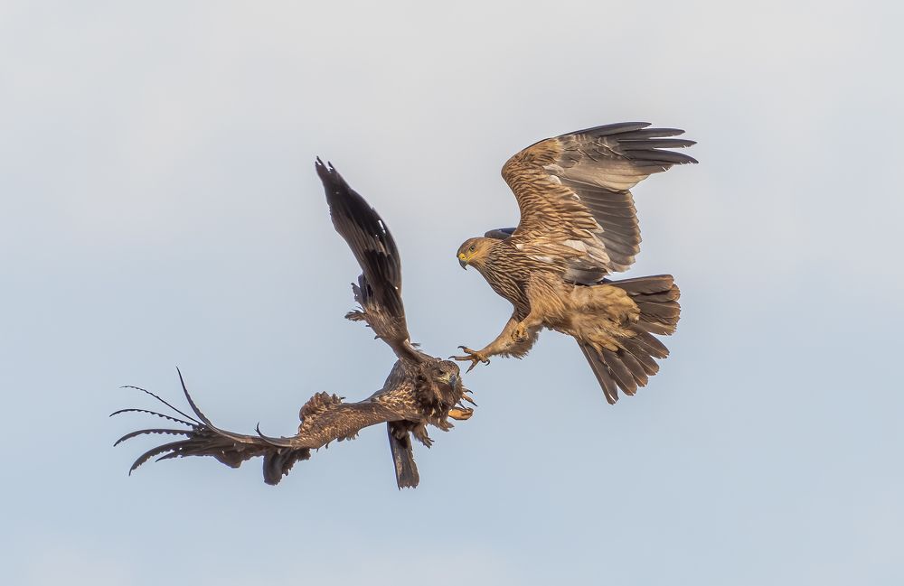 Photograph by Vahid Yavari