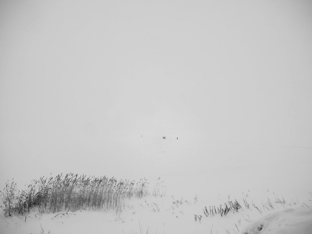 Photograph by Глеб Шершнев