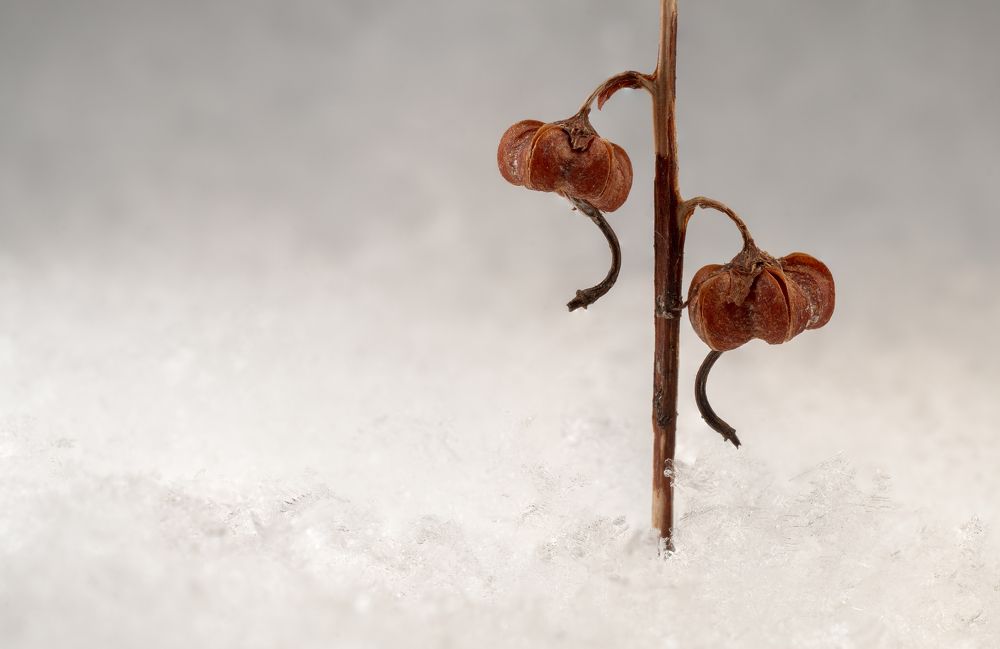 Фотография автора Eimar Kull