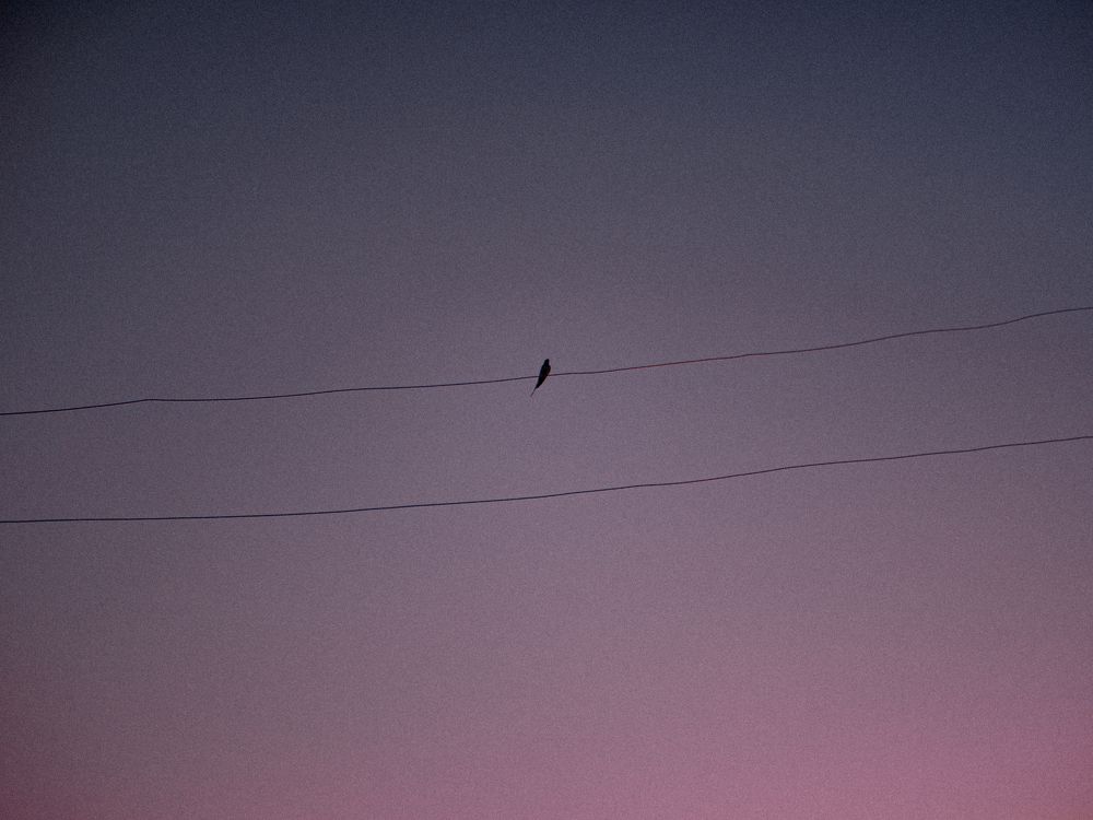 Photograph by Глеб Шершнев