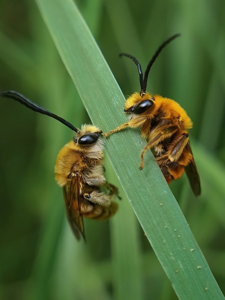 Photograph by Людмила Мельтишинова
