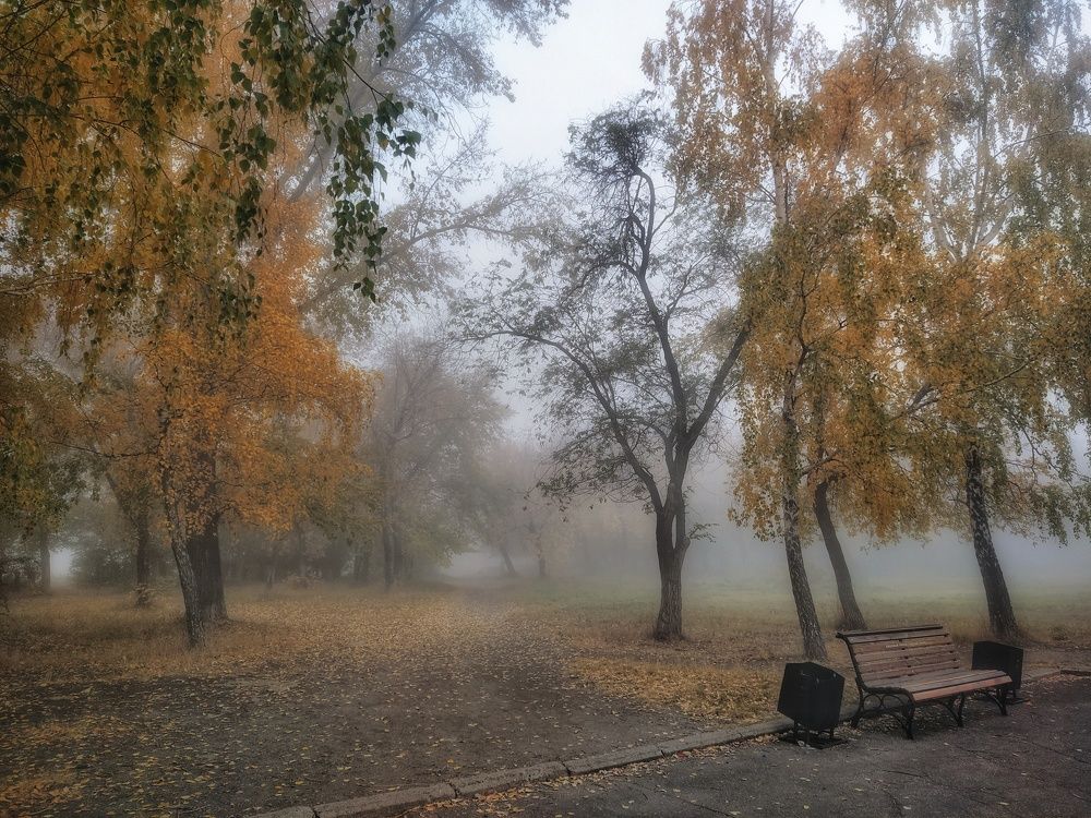 Photograph by Александр Гром